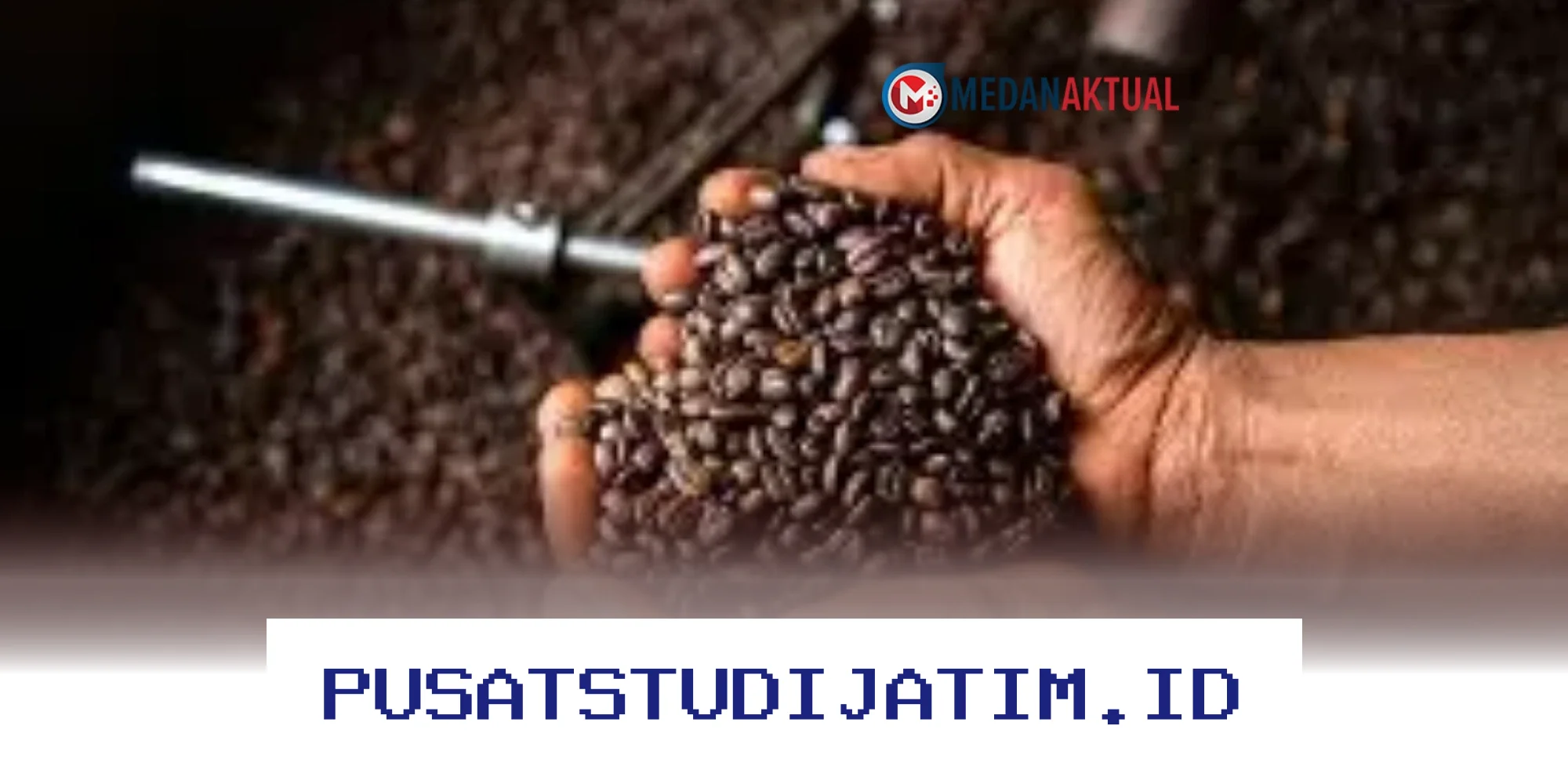 Ingin Kopi Enak dan Nikmat? Ini Dia Cara Memilih Biji Kopi Terbaik yang Wajib Kamu Tahu!