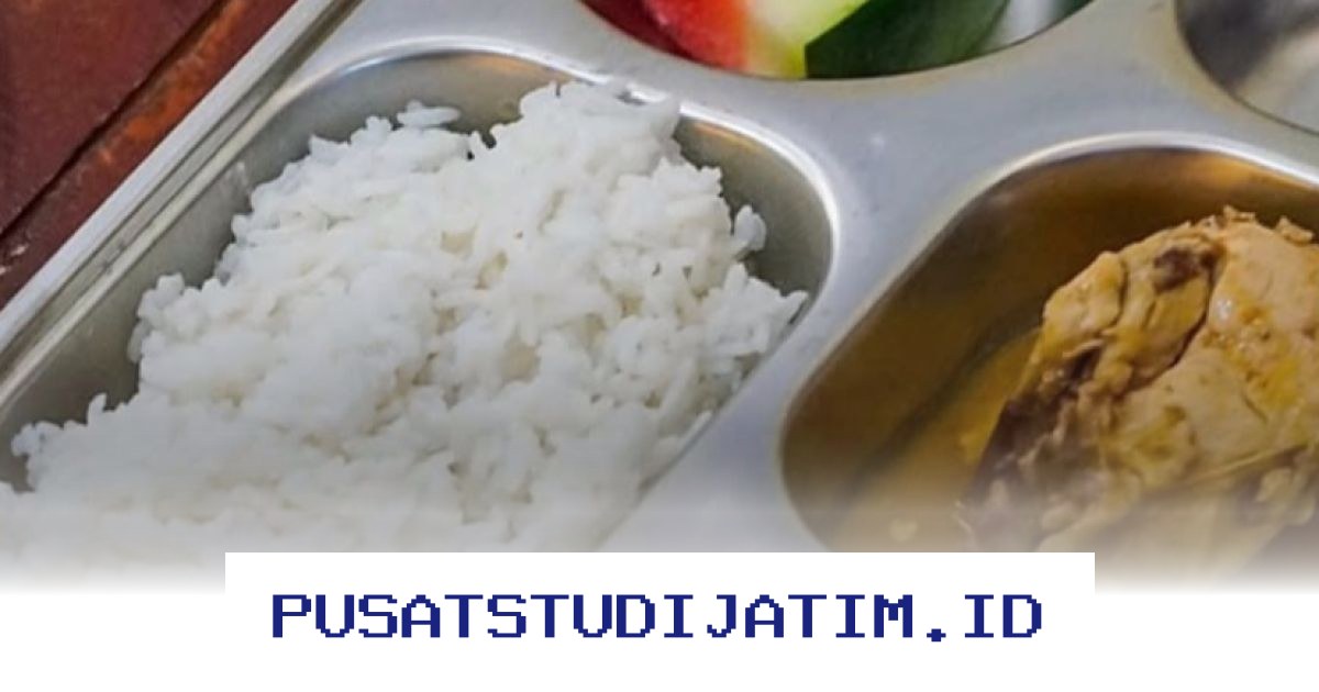 Mengapa Program MBG Jadi Sorotan Setelah Gugatan ke Mahkamah Konstitusi? Pakar Buka Suara soal Mekanisme Demokrasi yang Terjadi!